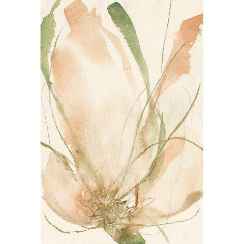 Petal Sketches II Black Modern Wood Framed Art Print with Double Matting by Goldberger, Jennifer