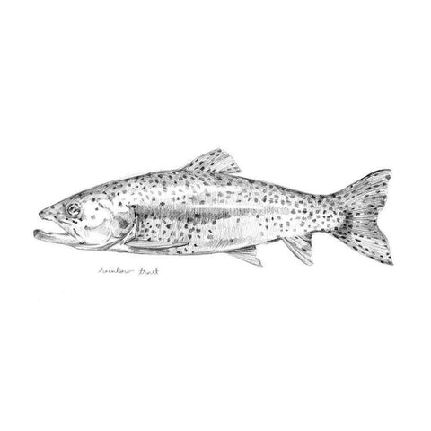 Sketch of the Day II Black Modern Wood Framed Art Print with Double Matting by Caroline, Emma