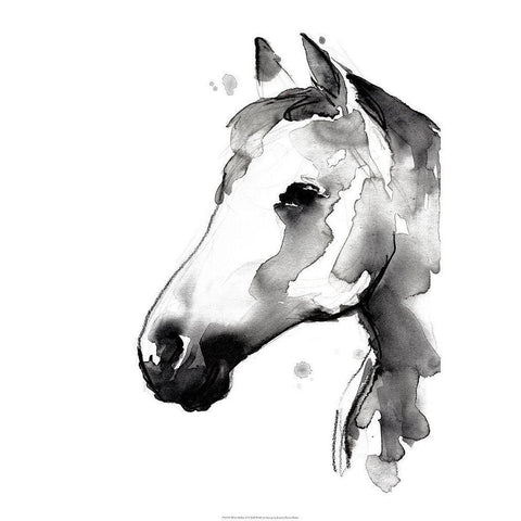 White Stallion II Black Modern Wood Framed Art Print with Double Matting by Parker, Jennifer Paxton