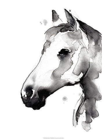 White Stallion II White Modern Wood Framed Art Print with Double Matting by Parker, Jennifer Paxton