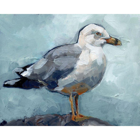 Seagull Stance I Gold Ornate Wood Framed Art Print with Double Matting by Parker, Jennifer Paxton