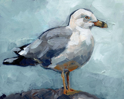 Seagull Stance I Black Ornate Wood Framed Art Print with Double Matting by Parker, Jennifer Paxton