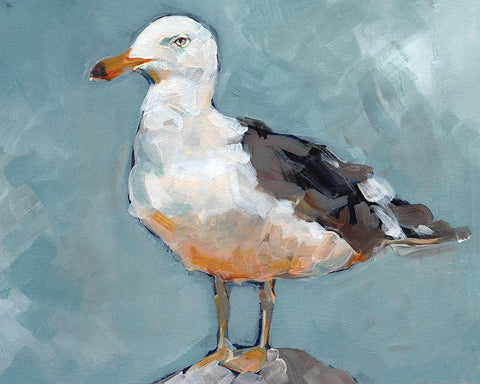 Seagull Stance II Black Ornate Wood Framed Art Print with Double Matting by Parker, Jennifer Paxton