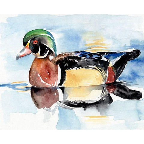 Watercolor Woodduck I White Modern Wood Framed Art Print by Parker, Jennifer Paxton