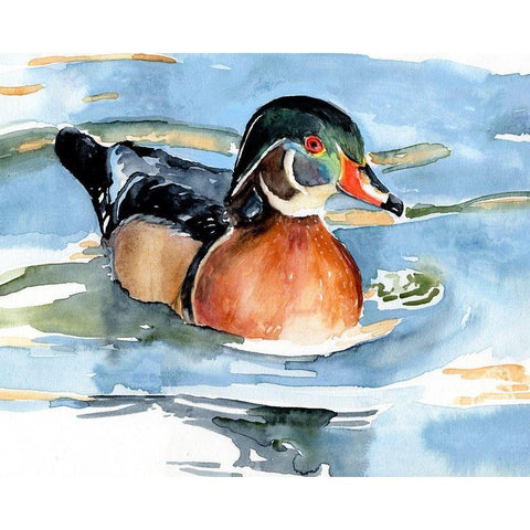 Watercolor Woodduck II Gold Ornate Wood Framed Art Print with Double Matting by Parker, Jennifer Paxton