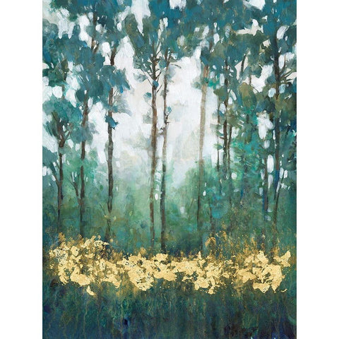 Glow in the Forest I Black Modern Wood Framed Art Print with Double Matting by OToole, Tim