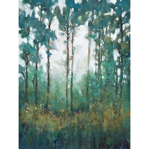 Glow in the Forest I Black Modern Wood Framed Art Print by OToole, Tim