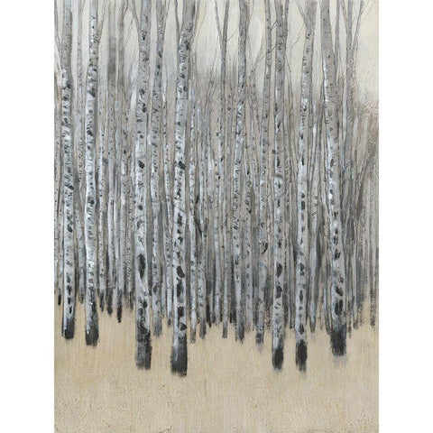 Custom Neutral Aspen I Black Modern Wood Framed Art Print with Double Matting by OToole, Tim