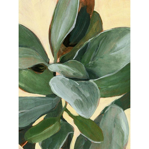 Custom Plant Study I White Modern Wood Framed Art Print by Warren, Annie