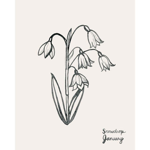 Annual Flowers I Black Modern Wood Framed Art Print with Double Matting by Popp, Grace