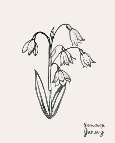 Annual Flowers I White Modern Wood Framed Art Print with Double Matting by Popp, Grace