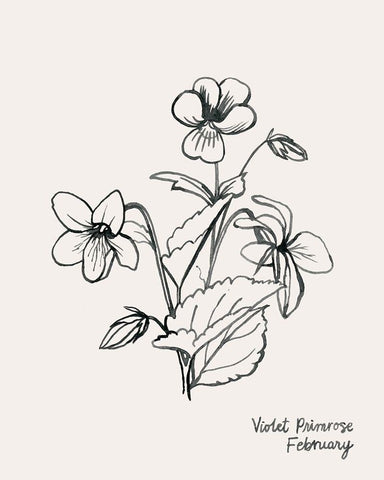 Annual Flowers II Black Ornate Wood Framed Art Print with Double Matting by Popp, Grace