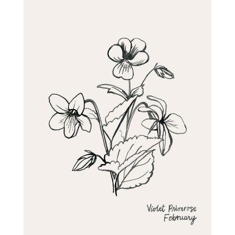 Annual Flowers II Black Modern Wood Framed Art Print with Double Matting by Popp, Grace