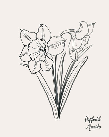 Annual Flowers III White Modern Wood Framed Art Print with Double Matting by Popp, Grace