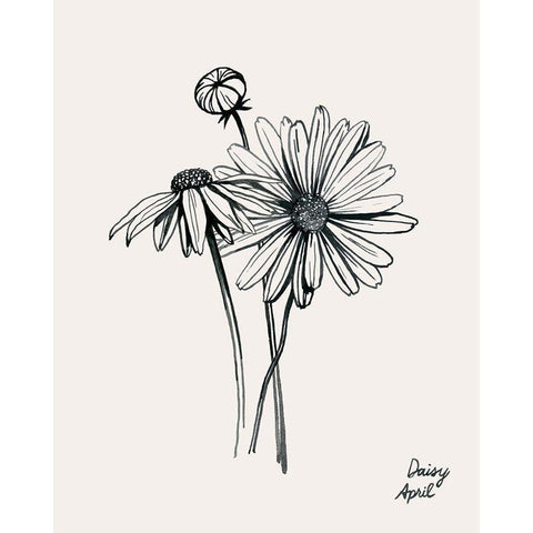 Annual Flowers IV White Modern Wood Framed Art Print by Popp, Grace