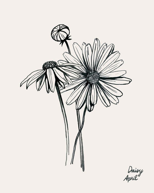 Image Only