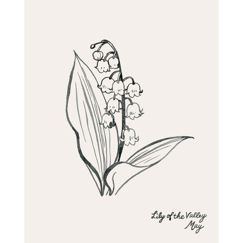 Annual Flowers V White Modern Wood Framed Art Print by Popp, Grace