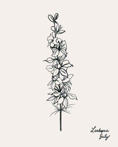 Annual Flowers VII White Modern Wood Framed Art Print with Double Matting by Popp, Grace