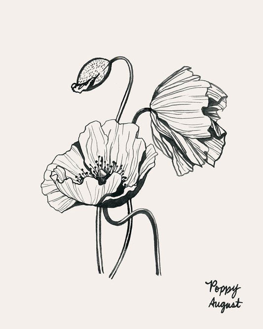 Image Only