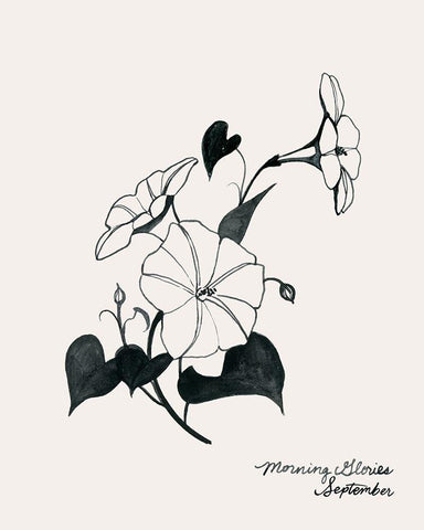 Annual Flowers IX White Modern Wood Framed Art Print with Double Matting by Popp, Grace