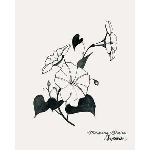 Annual Flowers IX Black Modern Wood Framed Art Print by Popp, Grace