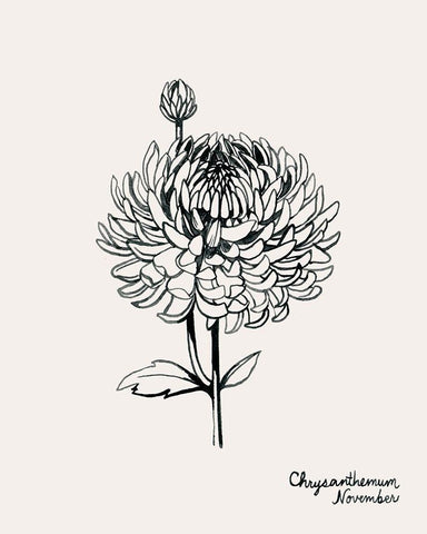 Annual Flowers XI Black Ornate Wood Framed Art Print with Double Matting by Popp, Grace