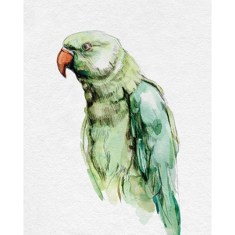Bright Parrot Portrait I Gold Ornate Wood Framed Art Print with Double Matting by Caroline, Emma