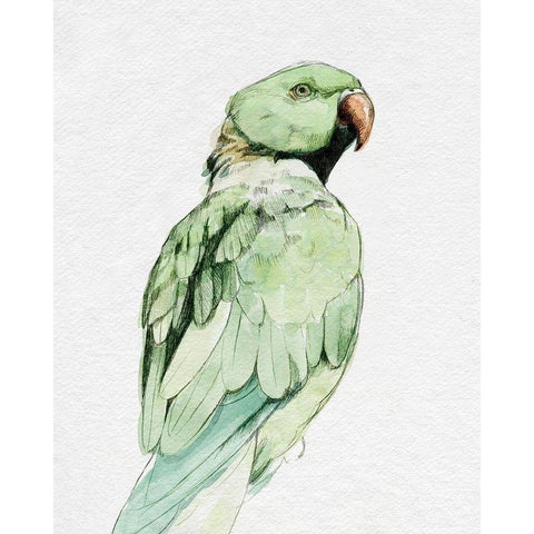 Bright Parrot Portrait II Gold Ornate Wood Framed Art Print with Double Matting by Caroline, Emma