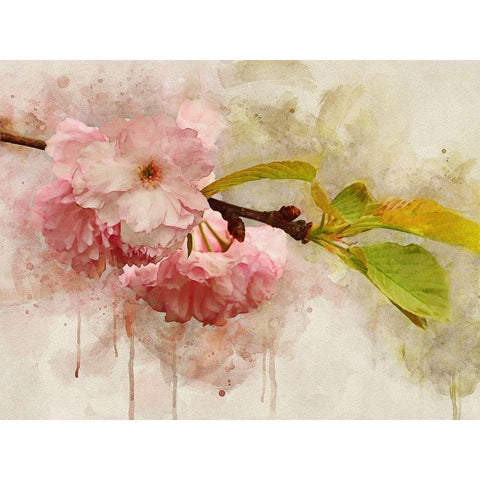Blossom Elegance I Black Modern Wood Framed Art Print with Double Matting by Robertson, Leda