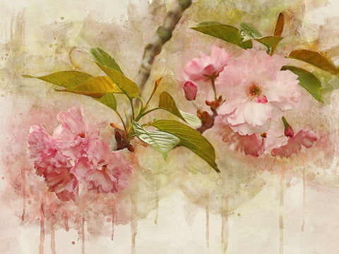 Blossom Elegance II White Modern Wood Framed Art Print with Double Matting by Robertson, Leda