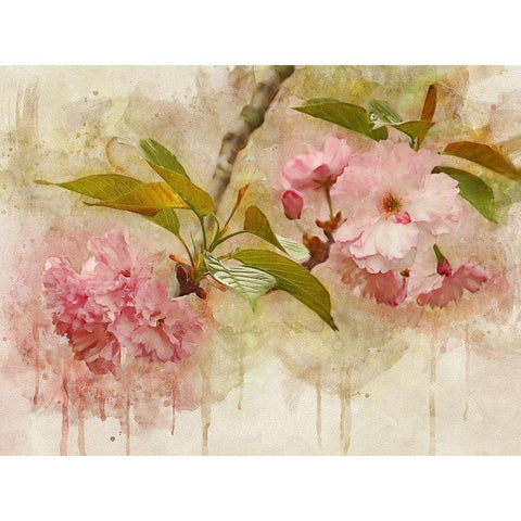 Blossom Elegance II Gold Ornate Wood Framed Art Print with Double Matting by Robertson, Leda