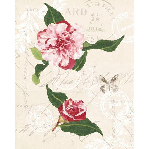 Diannes Camelias II White Modern Wood Framed Art Print by Miller, Dianne