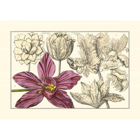 Embellished Arena Botanical IV Gold Ornate Wood Framed Art Print with Double Matting by Arena