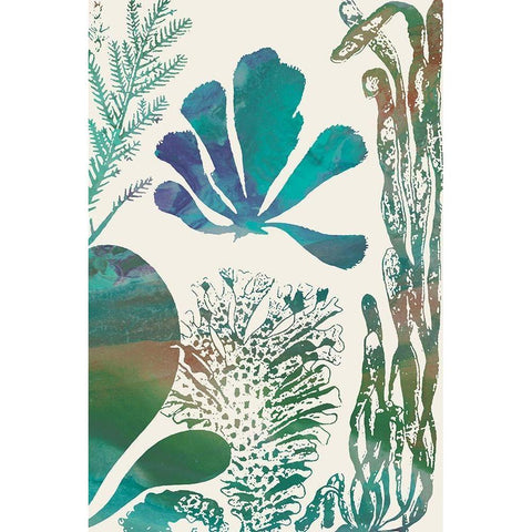 Aquatic Assemblage I Gold Ornate Wood Framed Art Print with Double Matting by Chandler, Sharon