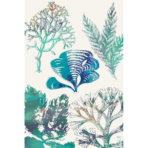 Aquatic Assemblage III Gold Ornate Wood Framed Art Print with Double Matting by Chandler, Sharon
