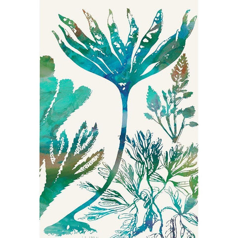 Aquatic Assemblage IV Gold Ornate Wood Framed Art Print with Double Matting by Chandler, Sharon