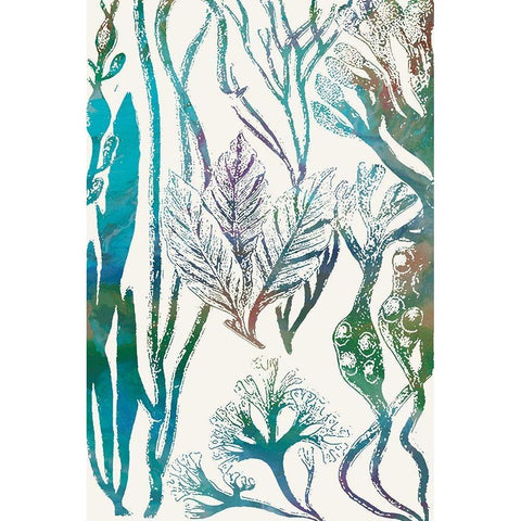 Aquatic Assemblage V Black Modern Wood Framed Art Print with Double Matting by Chandler, Sharon
