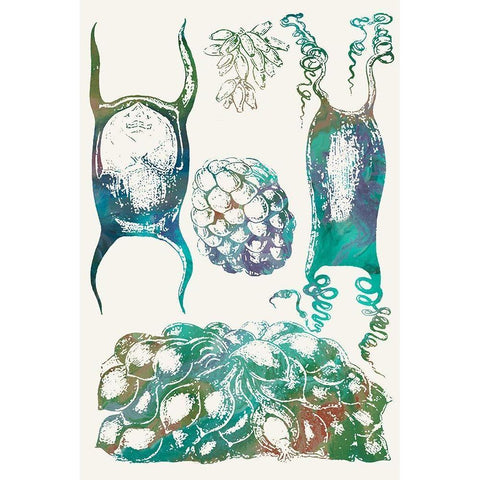 Aquatic Assemblage VI White Modern Wood Framed Art Print by Chandler, Sharon