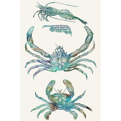 Aquatic Assemblage VIII Black Modern Wood Framed Art Print with Double Matting by Chandler, Sharon