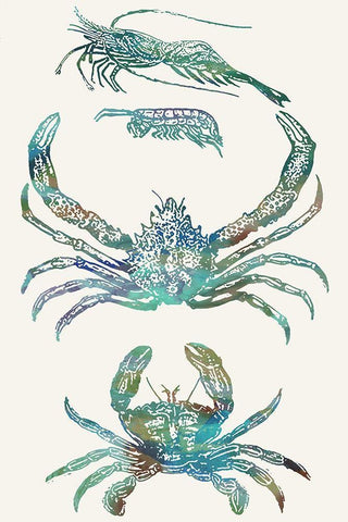 Aquatic Assemblage VIII Black Ornate Wood Framed Art Print with Double Matting by Chandler, Sharon