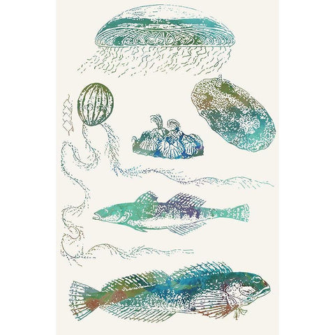 Aquatic Assemblage IX White Modern Wood Framed Art Print by Chandler, Sharon