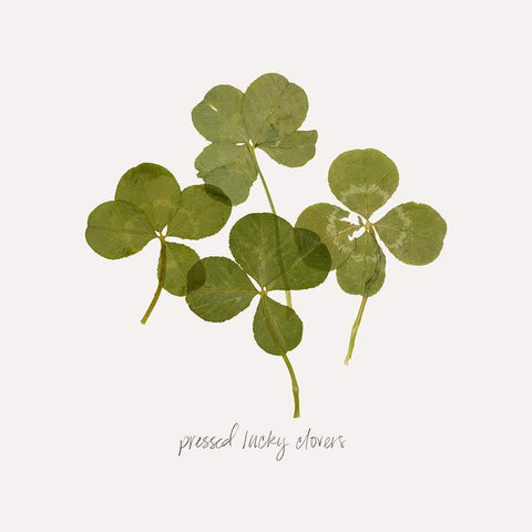 Pressed Clover I White Modern Wood Framed Art Print by Popp, Grace