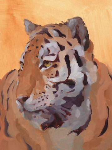 Lord of the Jungle II White Modern Wood Framed Art Print with Double Matting by Green, Jacob