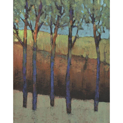 Glimmer in the Forest I Black Modern Wood Framed Art Print with Double Matting by OToole, Tim