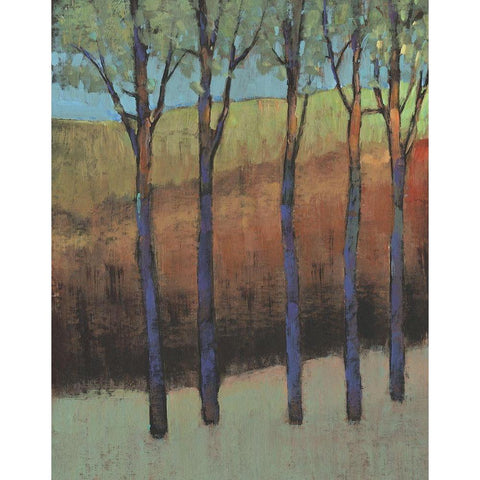 Glimmer in the Forest II Black Modern Wood Framed Art Print with Double Matting by OToole, Tim