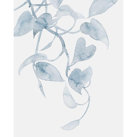 Pothos Penumbra I Black Modern Wood Framed Art Print with Double Matting by Popp, Grace