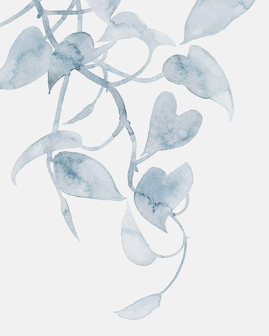 Image Only
