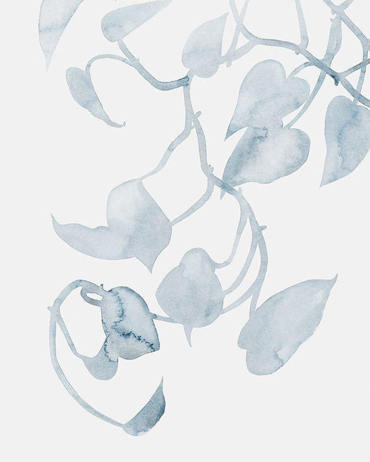 Image Only