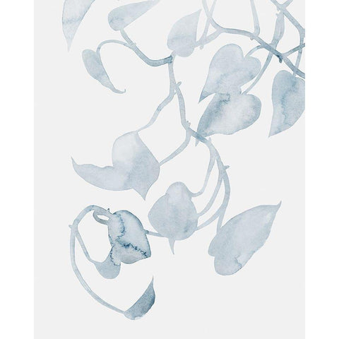 Pothos Penumbra II White Modern Wood Framed Art Print by Popp, Grace