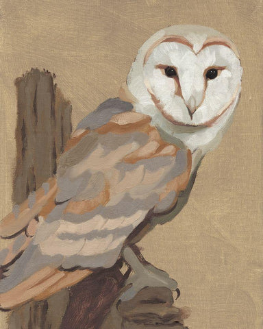 Common Barn Owl Portrait I White Modern Wood Framed Art Print with Double Matting by Green, Jacob